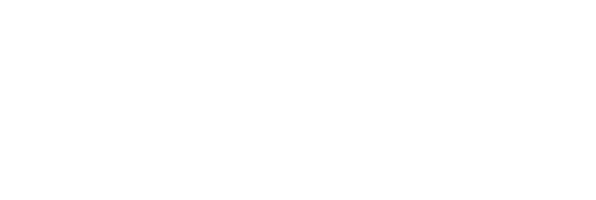 Programa Semillero Aguila Steam-UAGro